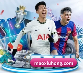 mk体育 APP